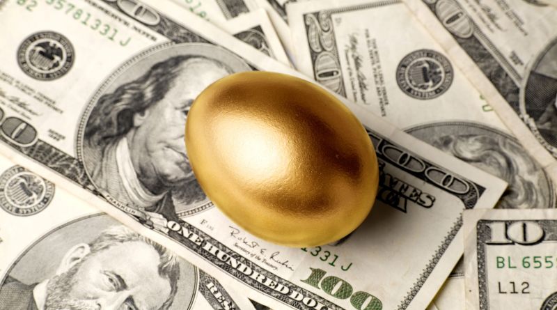 Subscription School - Online Golden Egg Opportunity